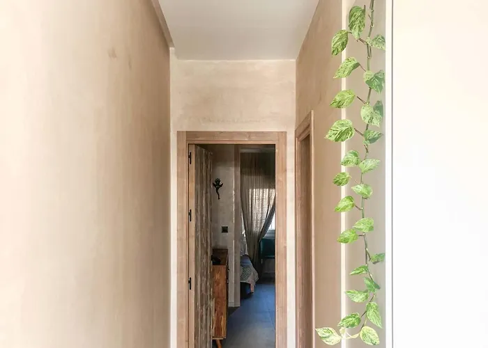 La Tortuga Ii Appartement *